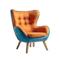Home & Furniture