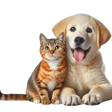 Animals & Pets