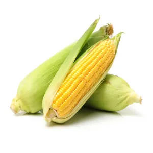 Maize 1Pc in Ongata Rongai on Funga Deal
