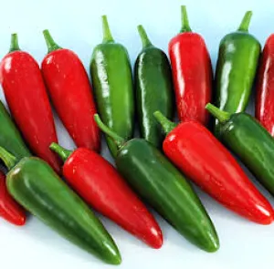 Bullet Chilies 0.5 Kg in Ongata Rongai on Funga Deal